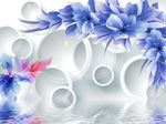 梦幻花倒影
