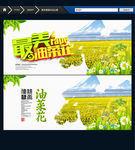 油菜花 唯美设计