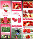 大气草莓海报详情页