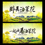 油菜花