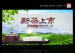 茶叶 新茶上市