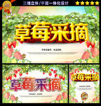 草莓采摘