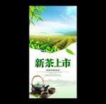 新茶上市
