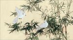 竹林鸽子