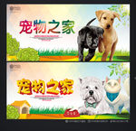 宠物