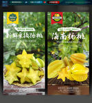 杨桃