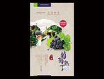 葡萄海报