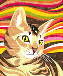 波普猫咪