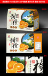 橙子包装源文件展开图