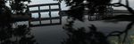 湿地镜头