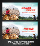 种菌养菌