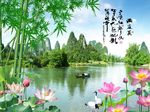 荷花竹子