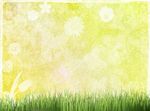 黄色花纹  草丛