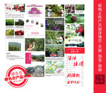 杨梅土特产详情页