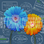 欧美花卉装饰画 非洲菊