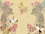 家和富贵荷花