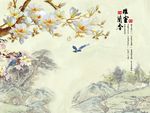 室雅兰香玉兰花