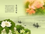 国画荷花