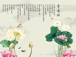 爱莲说荷花