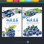 蓝莓海报