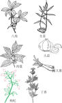 手绘大料
