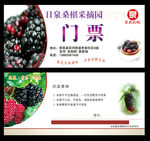 桑果采摘券