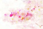 水彩花纹