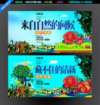 来自自然的问候