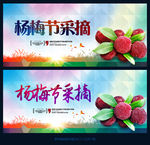 杨梅节