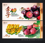 李子