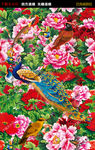 牡丹孔雀花鸟图案