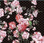 gucci古驰花