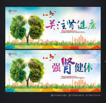 肾 健康