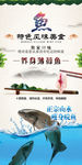 瘦身鲩鱼