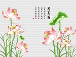 荷花图