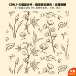 手绘棉花麦子矢量图