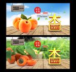 杏 采摘园
