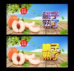 桃子熟了