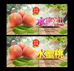 水蜜桃 采摘园