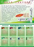 无限极牙膏宣传单