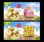 蟠桃 采摘园