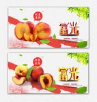 油桃 采摘园