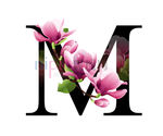M英文字母