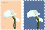百合花