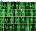 竹子竹林舞台演出大屏LED背景