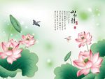 山水情荷花