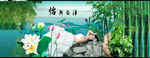 荷花美女