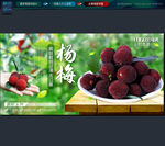杨梅