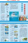 学生防溺水安全教育知识