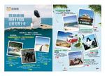 旅游宣传单